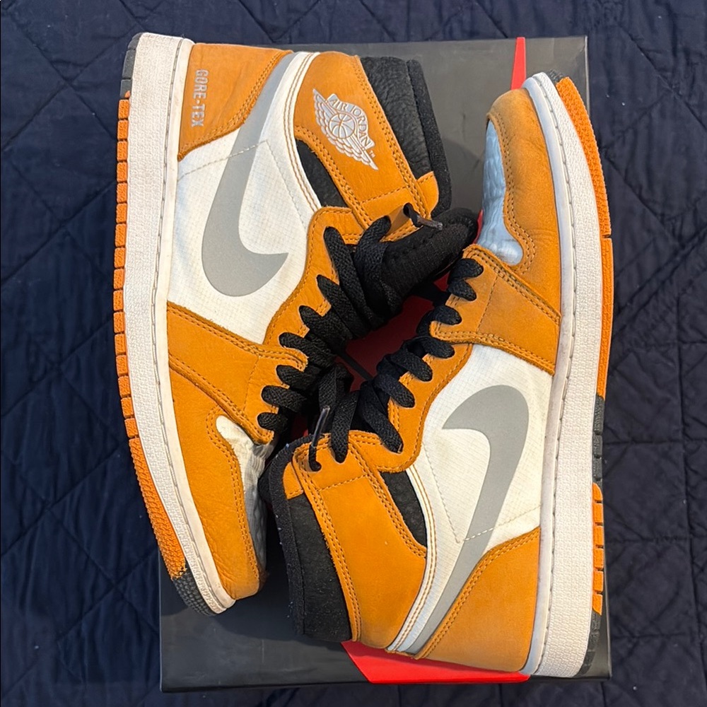 Nike Air Jordan 1 Element